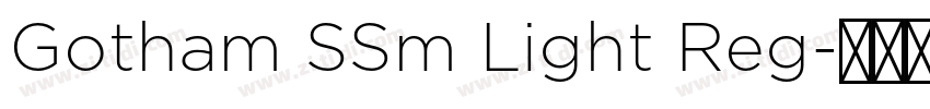 Gotham SSm Light Reg字体转换